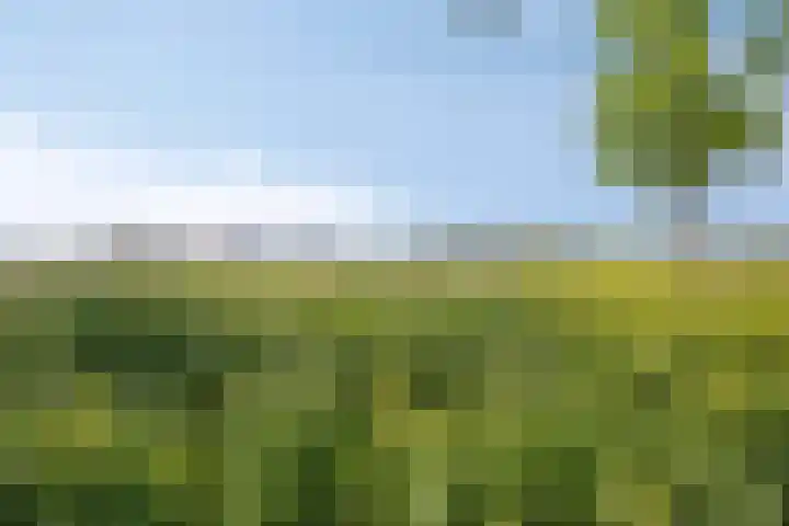 De Zwingel 9 A Lage Zwaluwe thumbnail 46