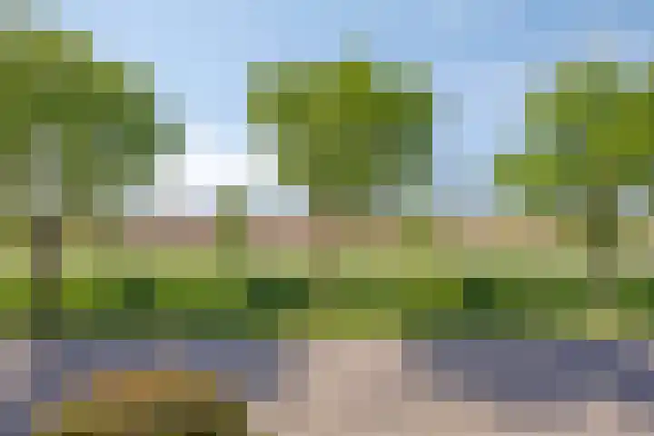 De Zwingel 9 A Lage Zwaluwe thumbnail 47