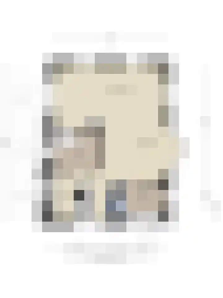 De Zwingel 9 A Lage Zwaluwe thumbnail 48