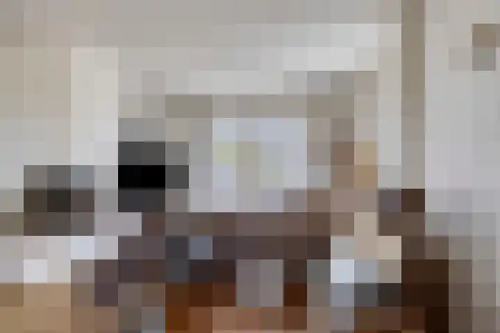 De Zwingel 9 A Lage Zwaluwe thumbnail 5