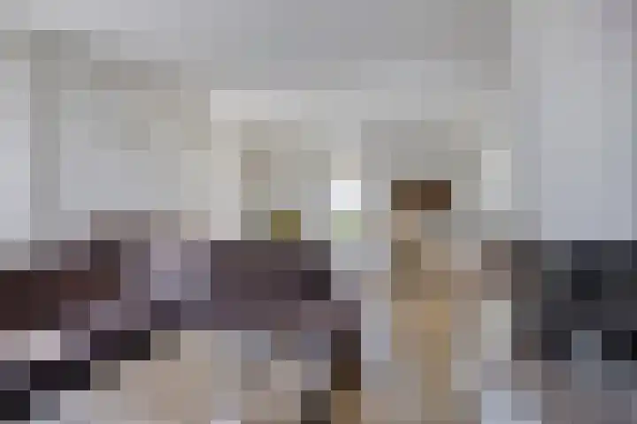 De Zwingel 9 A Lage Zwaluwe thumbnail 6