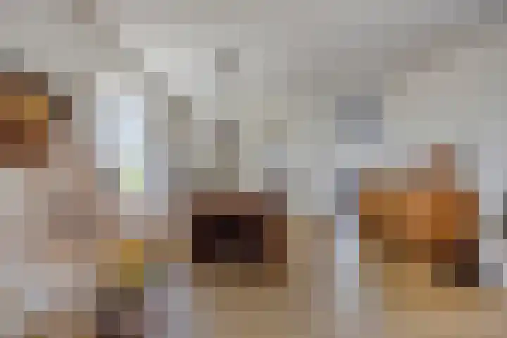 De Zwingel 9 A Lage Zwaluwe thumbnail 7