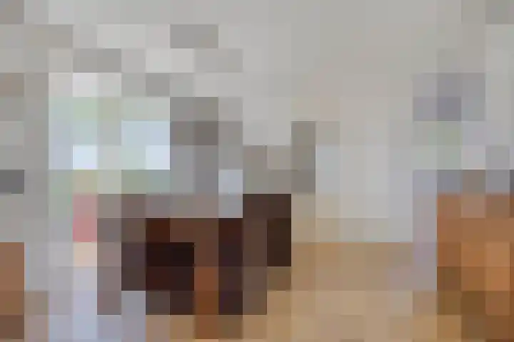 De Zwingel 9 A Lage Zwaluwe thumbnail 8