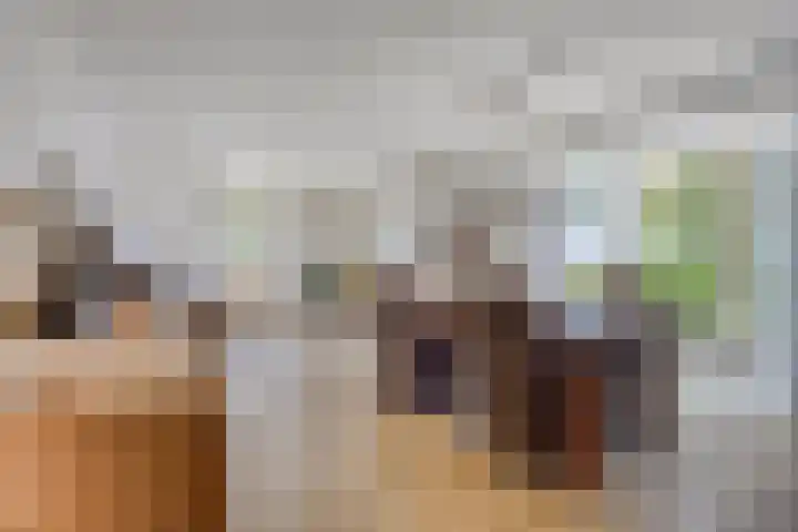De Zwingel 9 A Lage Zwaluwe thumbnail 9
