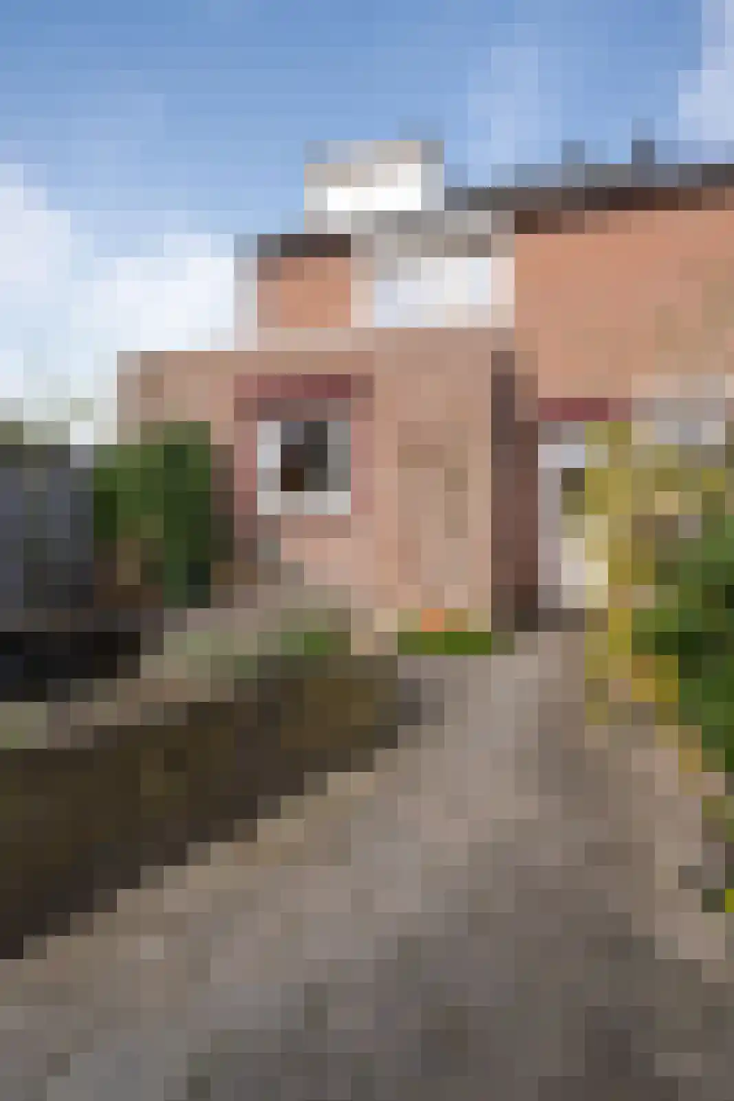 De Zwingelspaan 30 Zevenbergen thumbnail 33