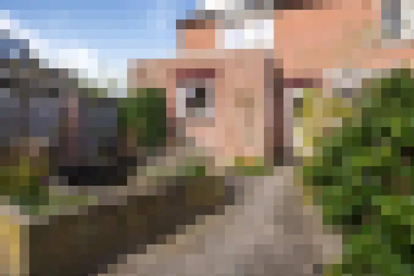 De Zwingelspaan 30 Zevenbergen thumbnail 35