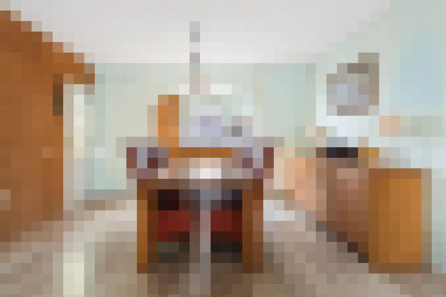 De Zwingelspaan 30 Zevenbergen thumbnail 7