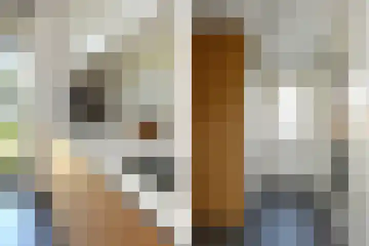 De Zwong 2 Heythuysen thumbnail 10