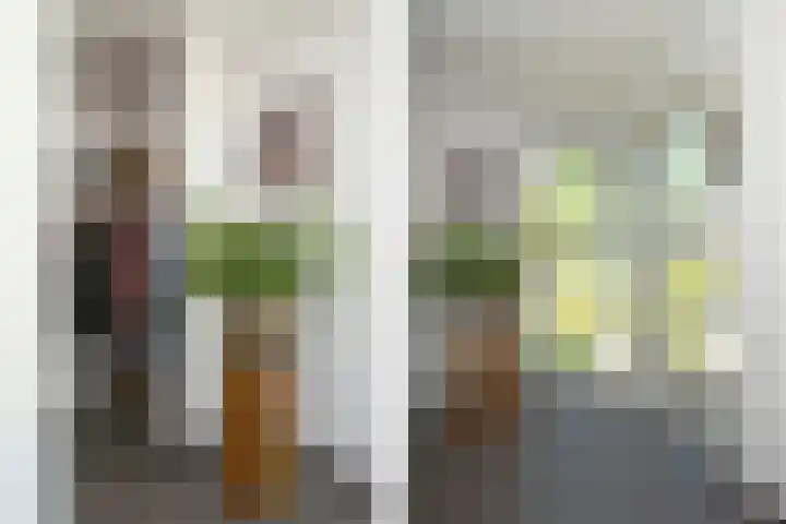 De Zwong 2 Heythuysen thumbnail 11