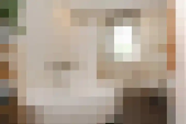 De Zwong 2 Heythuysen thumbnail 15