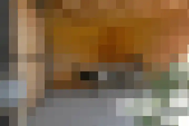 De Zwong 2 Heythuysen thumbnail 19