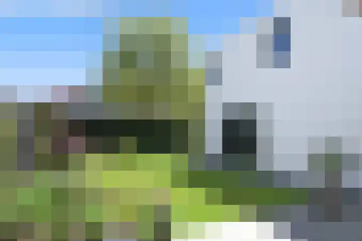 De Zwong 2 Heythuysen thumbnail 21
