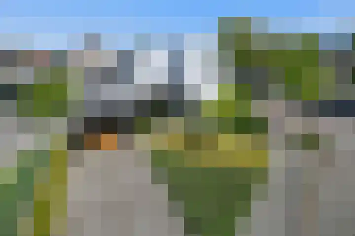 De Zwong 2 Heythuysen thumbnail 22