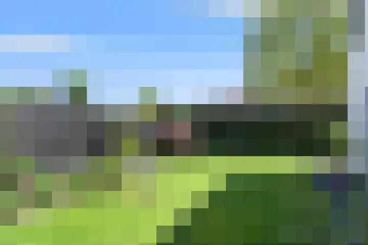 De Zwong 2 Heythuysen thumbnail 23