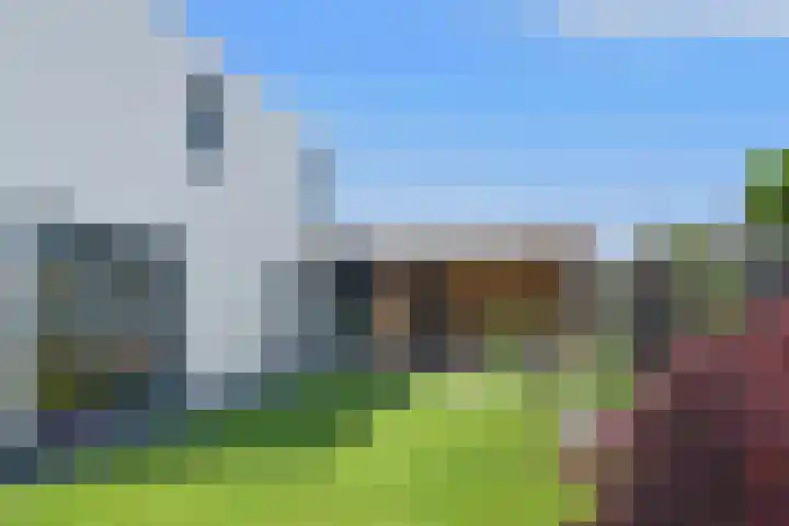 De Zwong 2 Heythuysen thumbnail 24