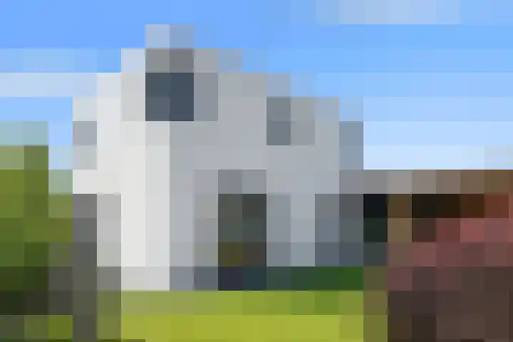 De Zwong 2 Heythuysen thumbnail 25