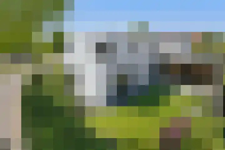De Zwong 2 Heythuysen thumbnail 26