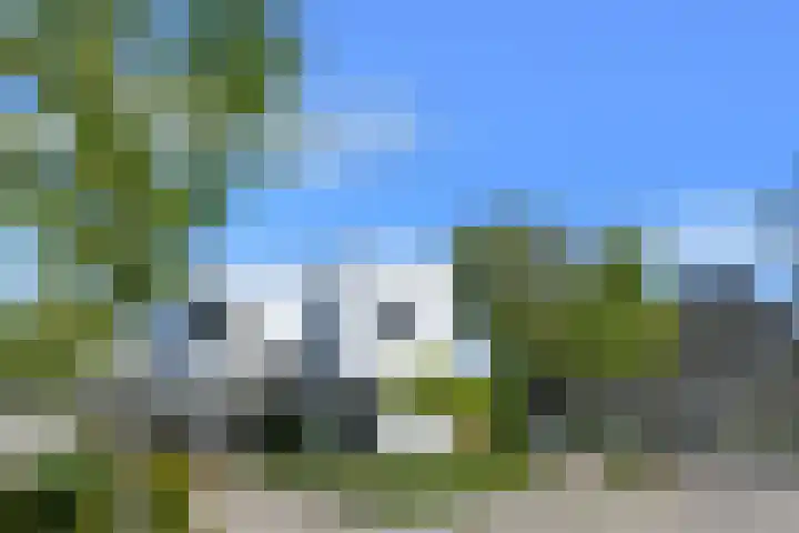 De Zwong 2 Heythuysen thumbnail 28