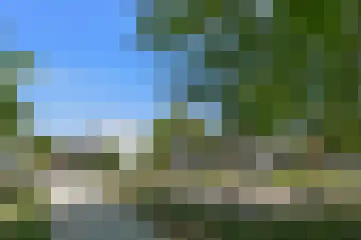 De Zwong 2 Heythuysen thumbnail 30