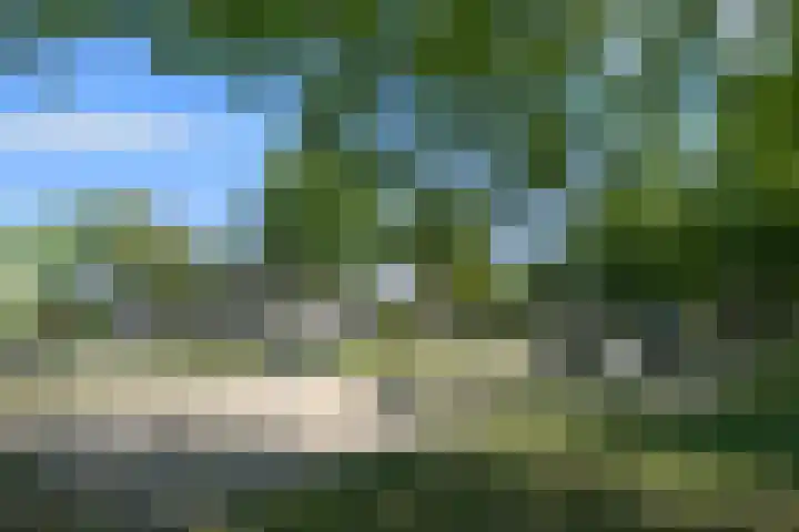 De Zwong 2 Heythuysen thumbnail 31