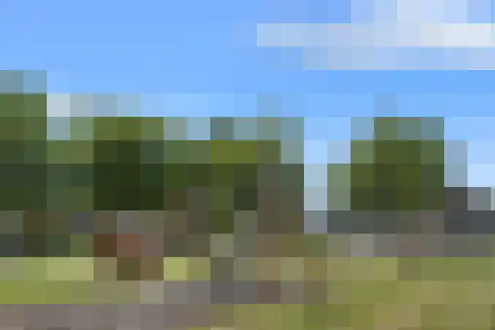 De Zwong 2 Heythuysen thumbnail 32