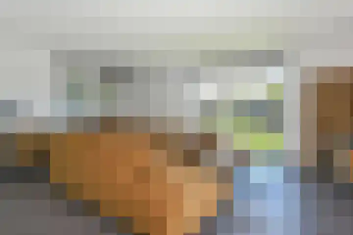 De Zwong 2 Heythuysen thumbnail 7