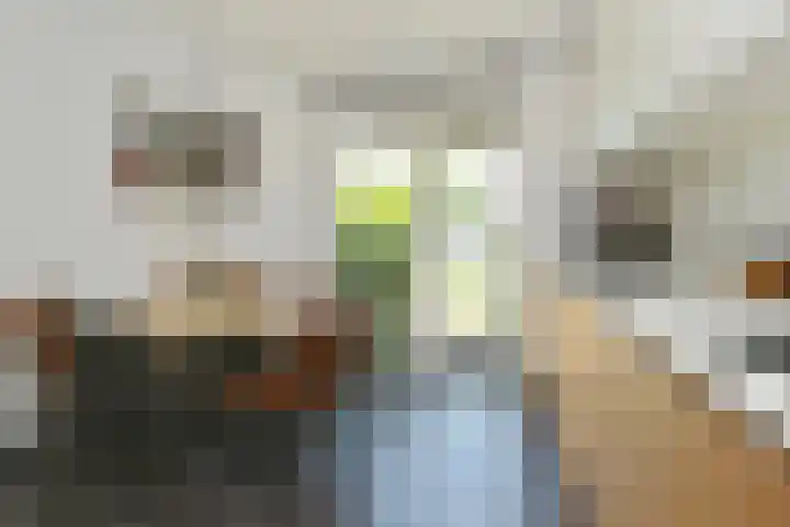 De Zwong 2 Heythuysen thumbnail 9