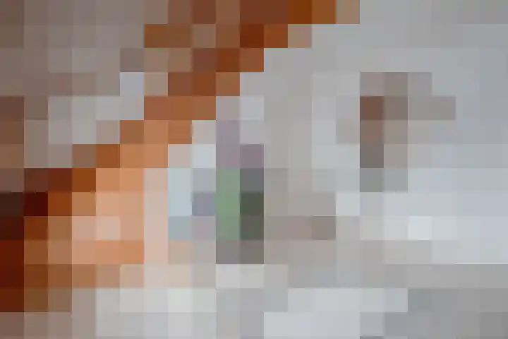 De Zwong 8 Heythuysen thumbnail 18