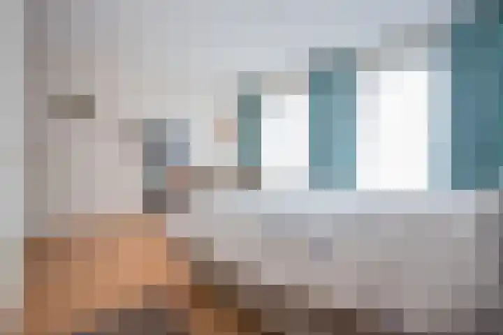 De Zwong 8 Heythuysen thumbnail 21