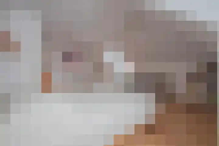 De Zwong 8 Heythuysen thumbnail 30