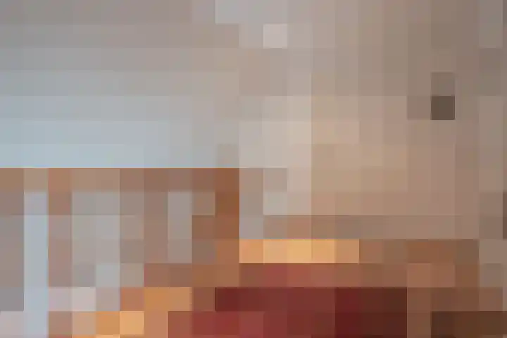 De Zwong 8 Heythuysen thumbnail 32