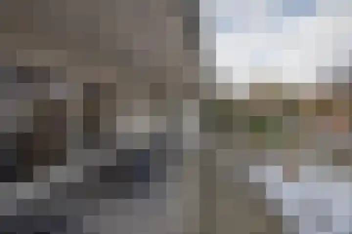 De Zwong 8 Heythuysen thumbnail 42