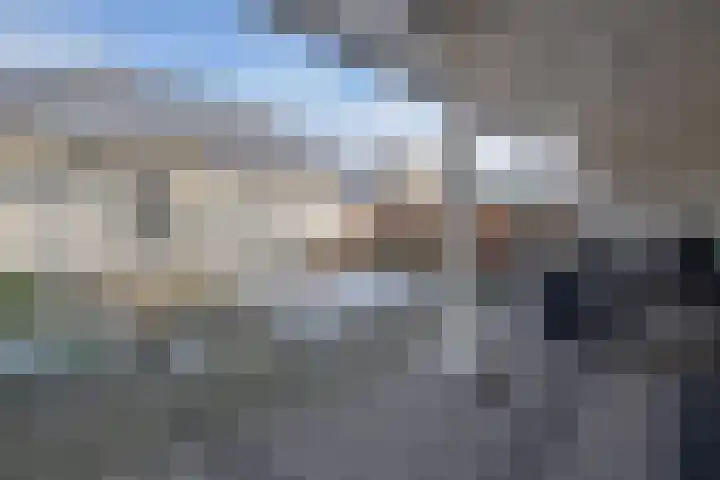 De Zwong 8 Heythuysen thumbnail 43