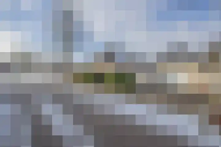 De Zwong 8 Heythuysen thumbnail 44