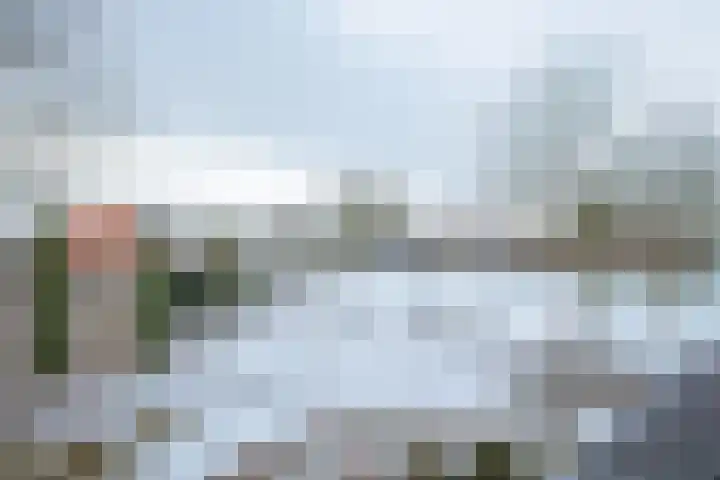 De Zwong 8 Heythuysen thumbnail 47