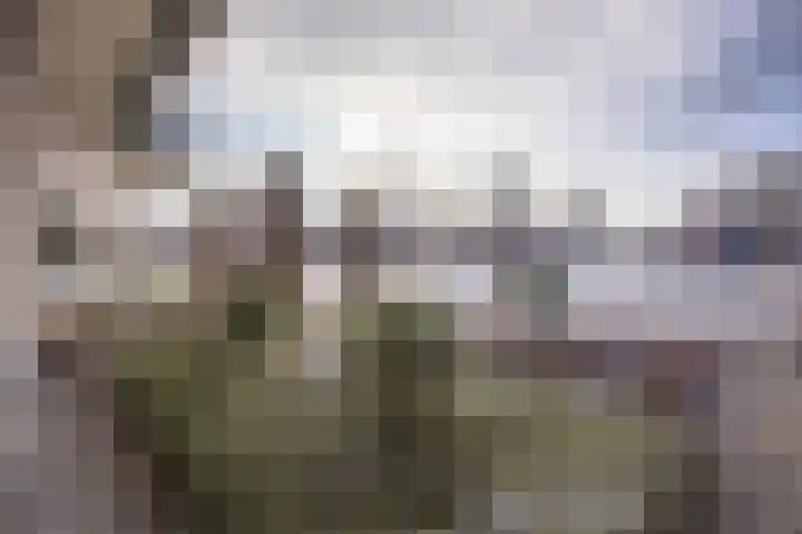 De Zwong 8 Heythuysen thumbnail 48