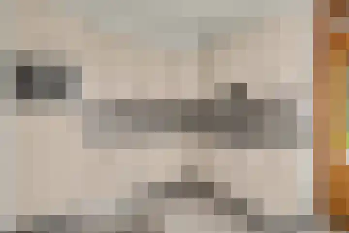 Debetslaan 31 Landgraaf thumbnail 4