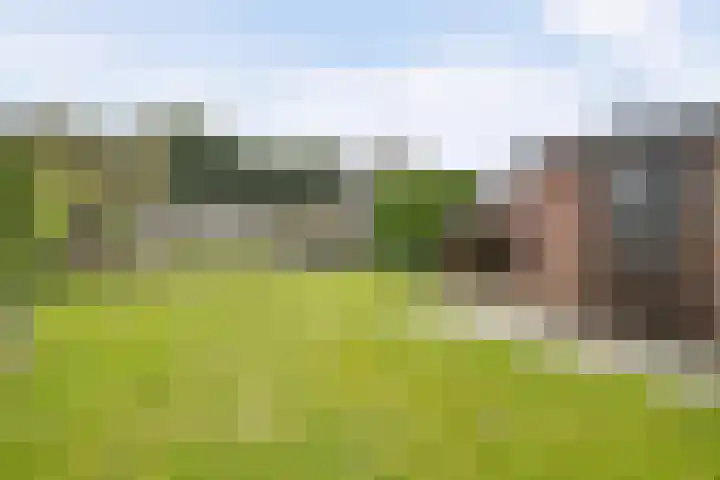 Debetslaan 31 Landgraaf thumbnail 42