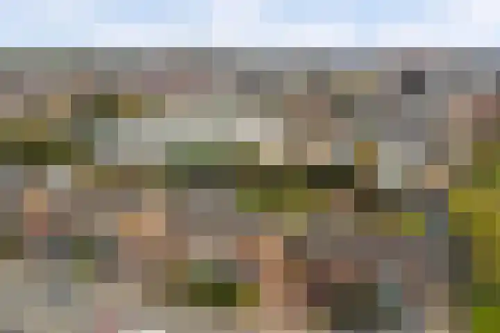 Debetslaan 31 Landgraaf thumbnail 52