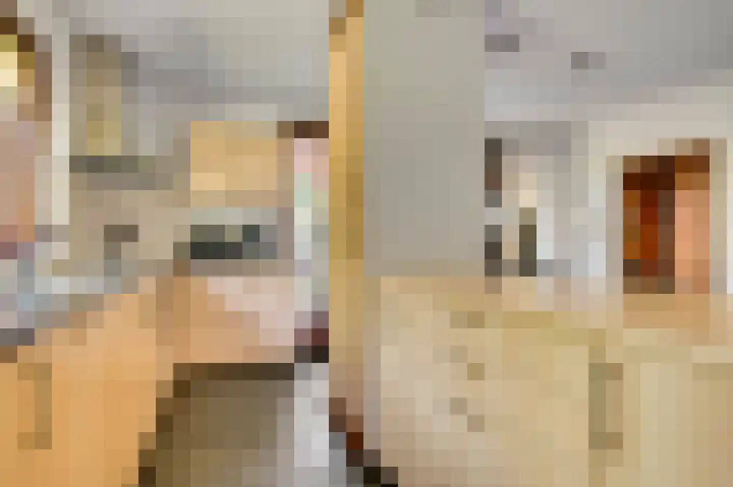 Debijelaan 3 Weert thumbnail 17