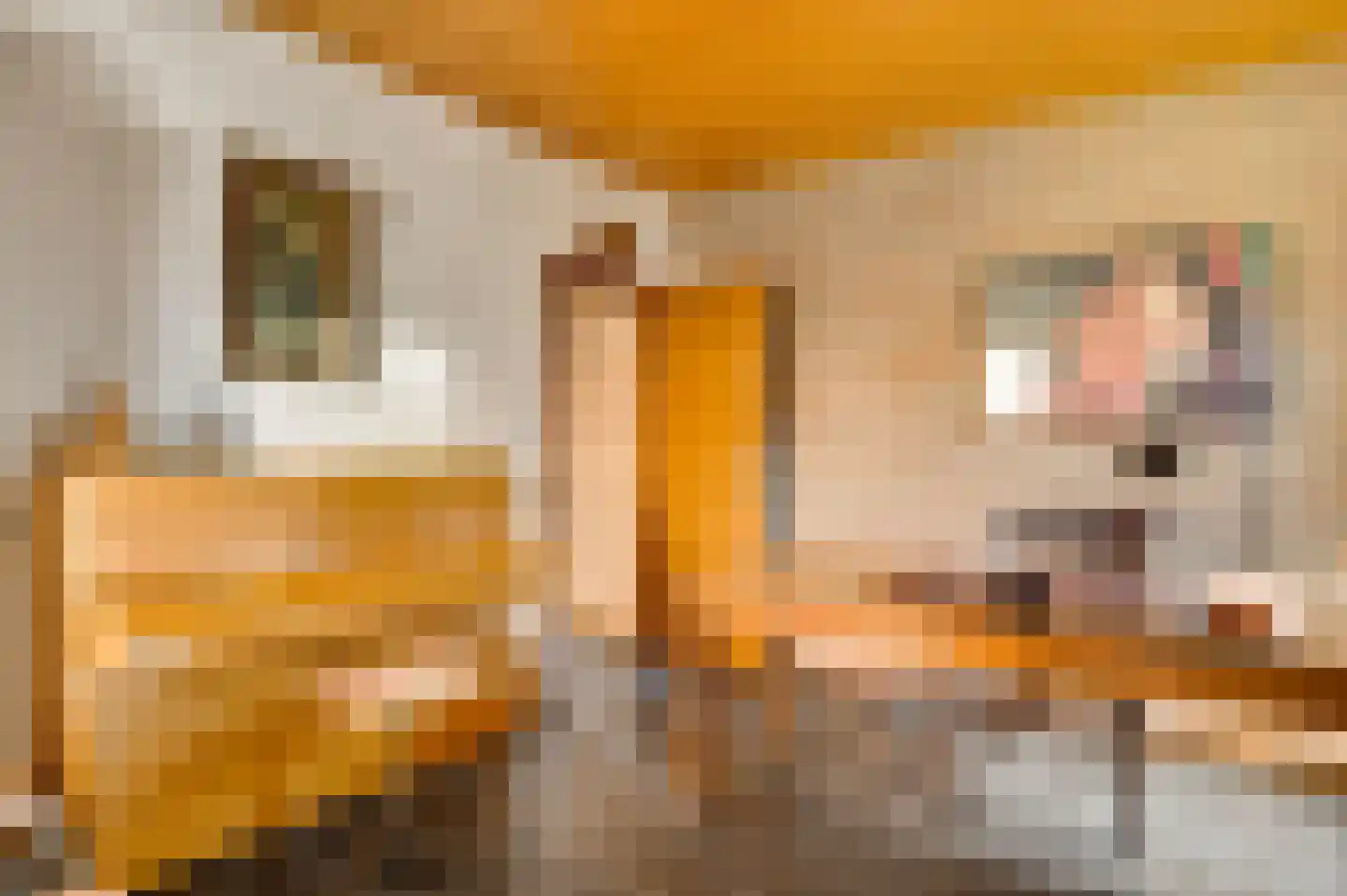 Debijelaan 3 Weert thumbnail 19