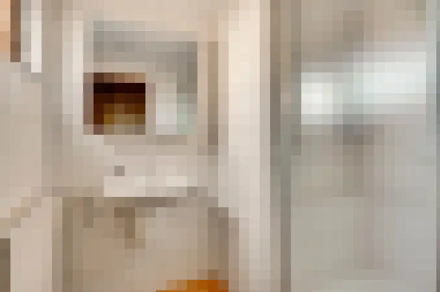 Debijelaan 3 Weert thumbnail 28