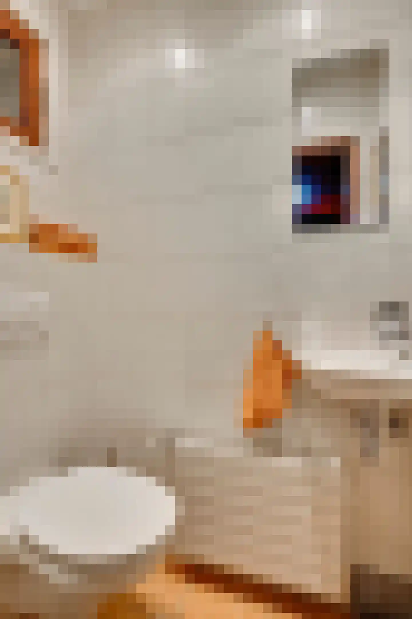 Debijelaan 3 Weert thumbnail 7