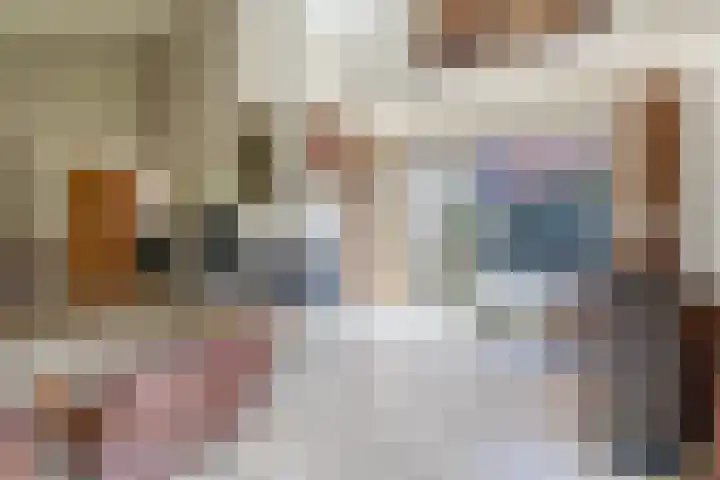 Debijelaan 30 Schoonhoven thumbnail 16
