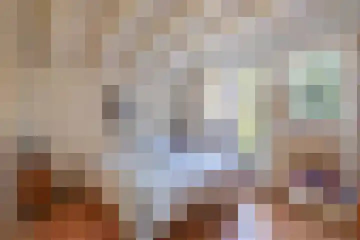 Debijelaan 30 Schoonhoven thumbnail 23