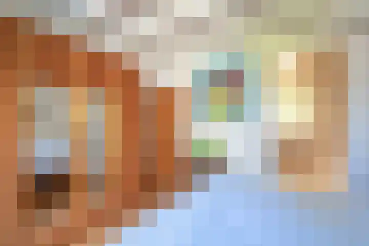 Debijelaan 30 Schoonhoven thumbnail 24