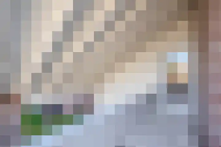 Debijelaan 30 Schoonhoven thumbnail 34