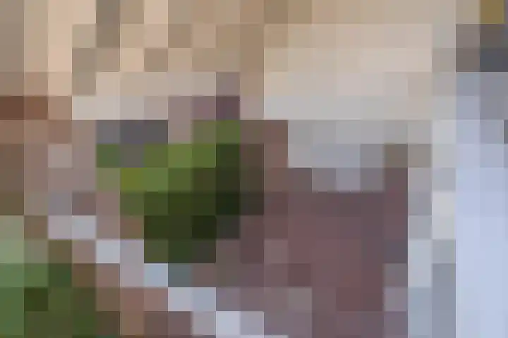Debijelaan 30 Schoonhoven thumbnail 35