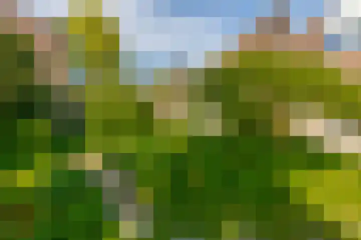 Debijelaan 30 Schoonhoven thumbnail 37
