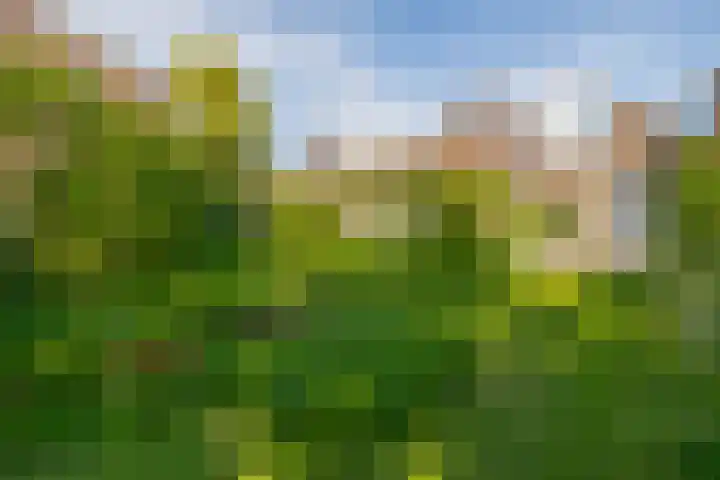 Debijelaan 30 Schoonhoven thumbnail 38